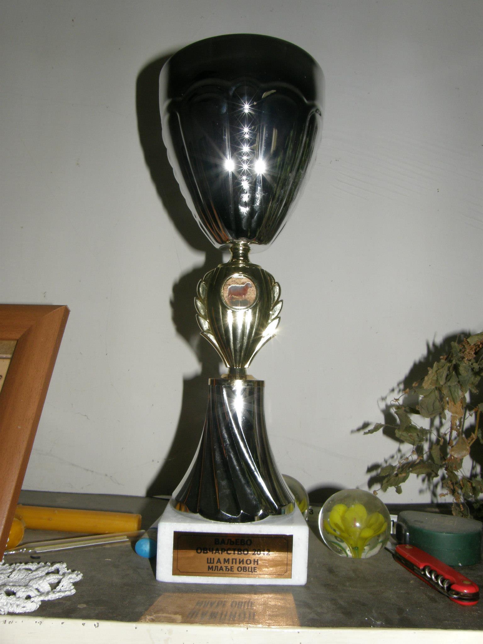 Photo 1