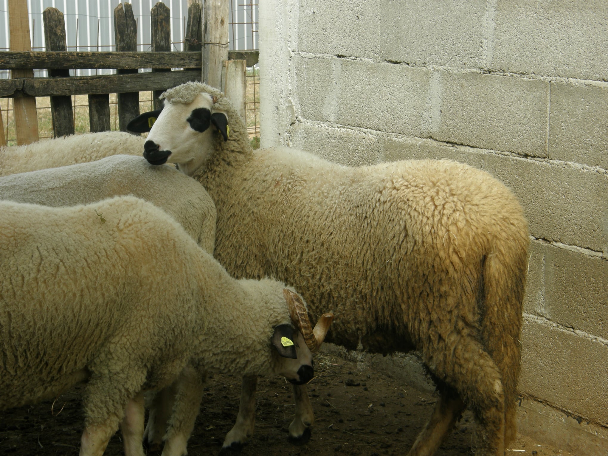 Photo 14
