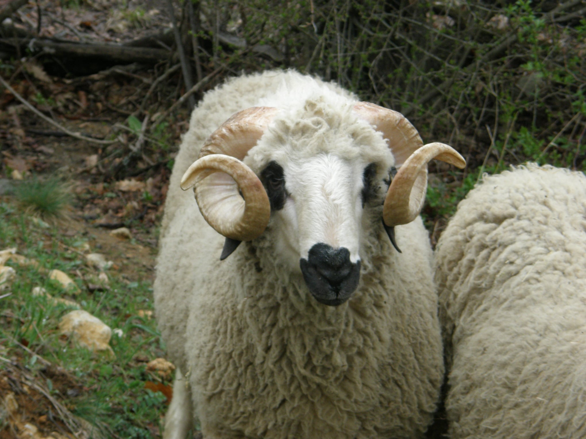Photo 25