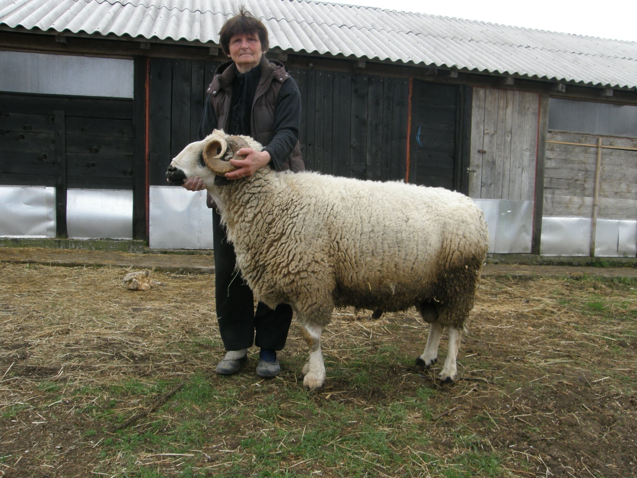 Photo 30