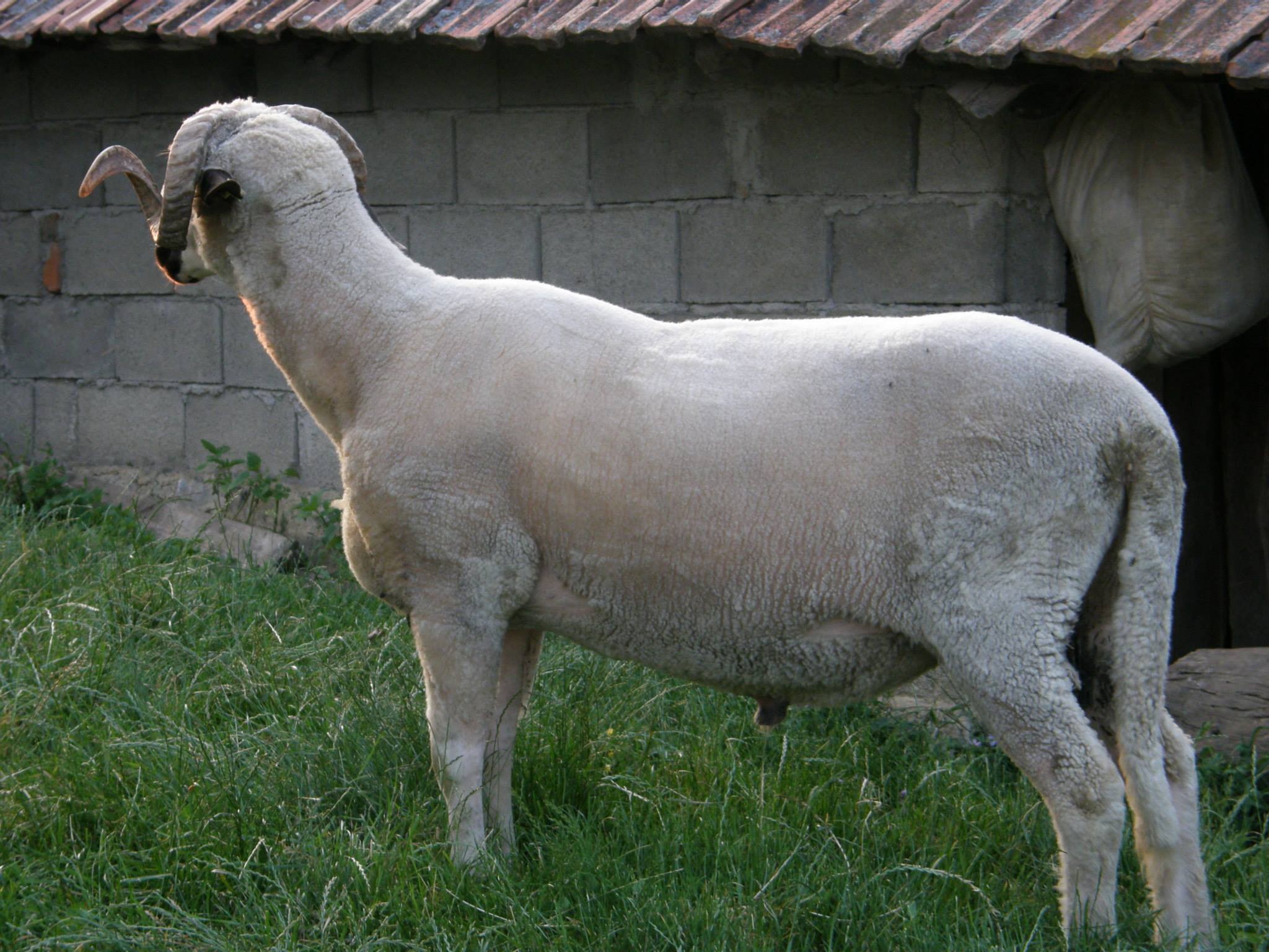 Photo 49